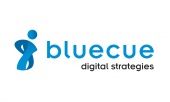 bluecue consulting GmbH & Co. KG